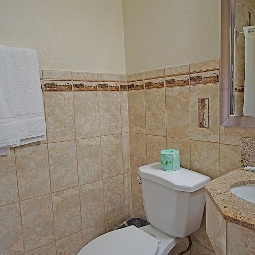 This image shows a bathroom with a toilet, a towel rack with towels, a countertop with a sink and faucet, and a shower with a curtain.